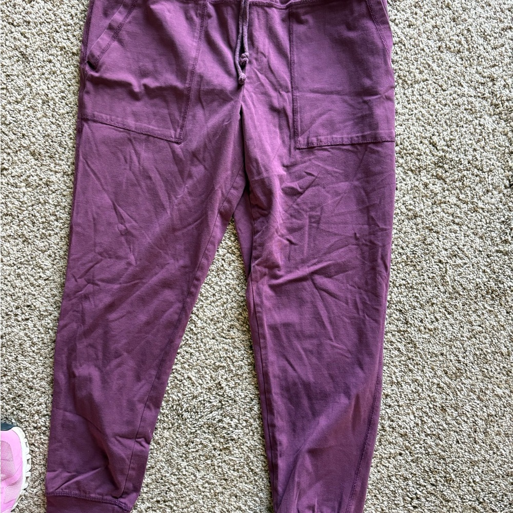 wild fable Maroon Drawstring Joggers
